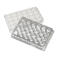 Microplacas 24 pozos Costar®Tratadas con CellBIND